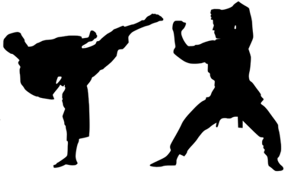 باشگاه آموزش کاراته برای آقایان در کرمان